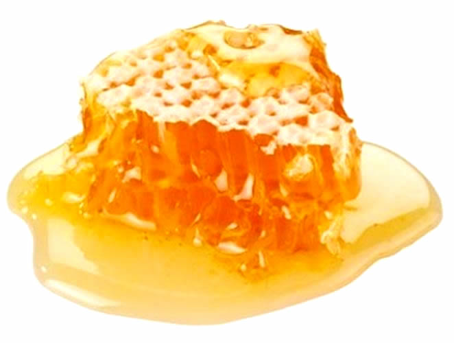 local-raw-honey-from-florida
